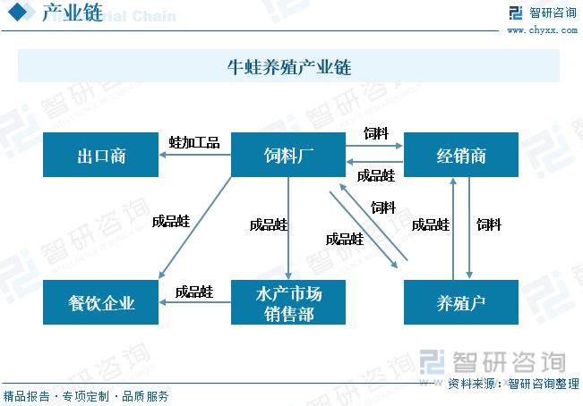 牛蛙养殖发展动态分析:品牌九游会平台 九游会企业形成养殖、加工、销售全链模式(图2) 牛蛙养殖发展动态分析:品牌九游会平台 九游会企业形成养殖、加工、销售全链模式(图2)