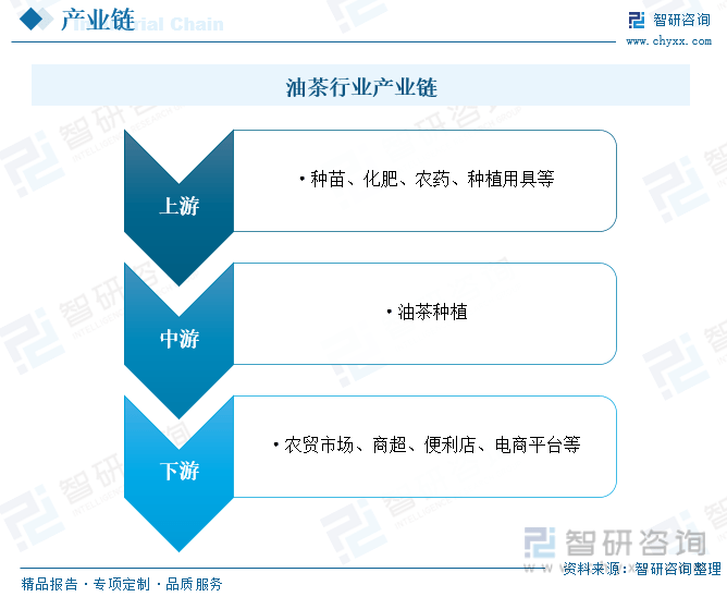 J9九游会干货分享!2023年中国油茶行业市场发展概况及未来投资前景预测分析(图4) J9九游会干货分享!2023年中国油茶行业市场发展概况及未来投资前景预测分析(图4)